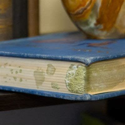 Can Books Get Moldy? And Why Do They Smell Like Forgotten Libraries?