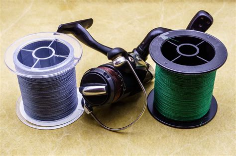 What is Braid Fishing Line: A Tangled Web of Strength and Sensitivity