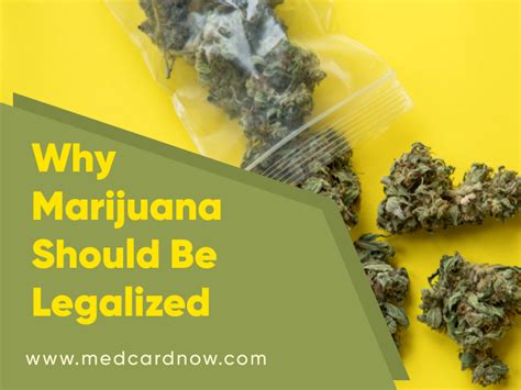 Why Should Marijuanas Be Legalized Essay: Exploring the Green Frontier of Policy and Perception